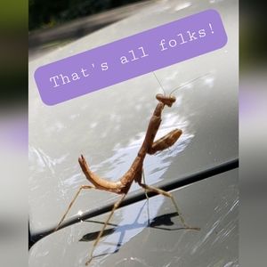 You have reached the end of the line